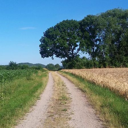 Landgasthof Zur Untermuehle Datterode エクステリア 写真
