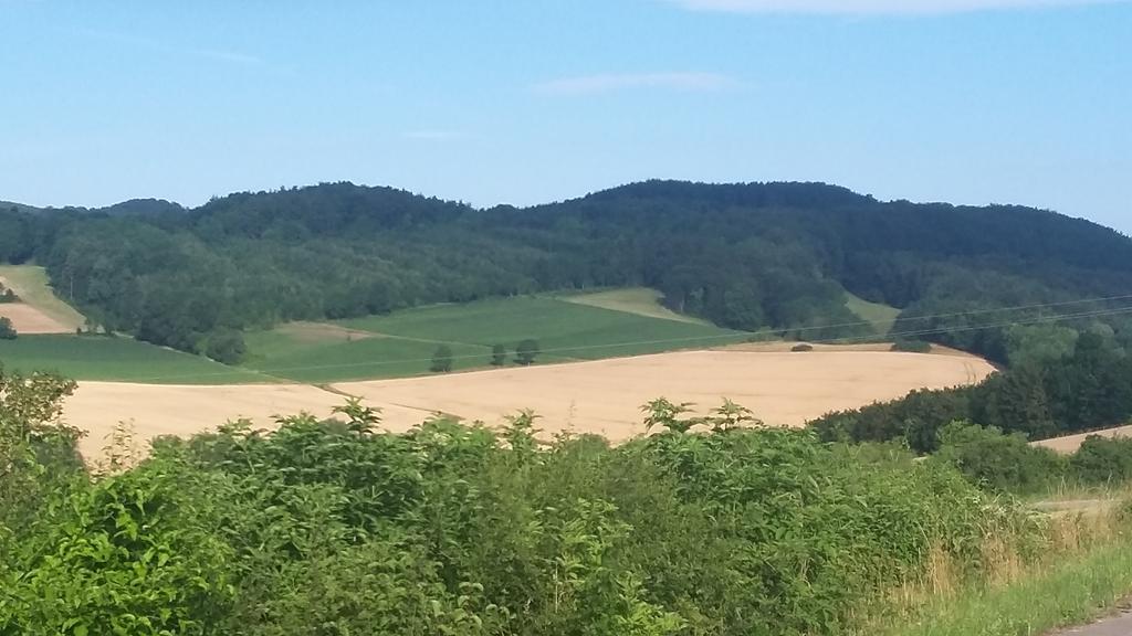 Landgasthof Zur Untermuehle Datterode エクステリア 写真